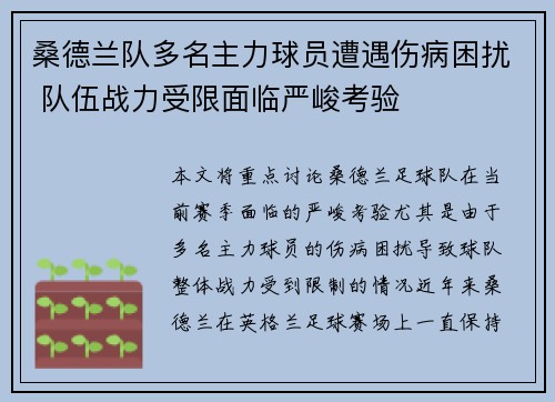 桑德兰队多名主力球员遭遇伤病困扰 队伍战力受限面临严峻考验