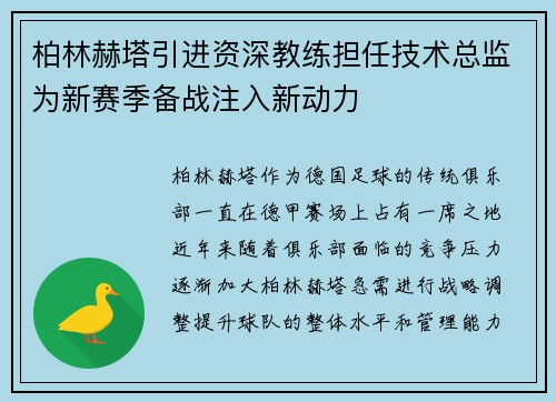 柏林赫塔引进资深教练担任技术总监为新赛季备战注入新动力